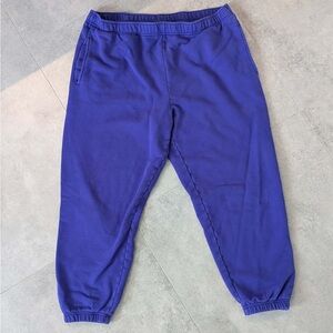 TNA Cozy Fleece Boyfriend Sweatpants Purple Size XL Aritzia